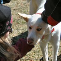 Okemo meets the scouts and parents