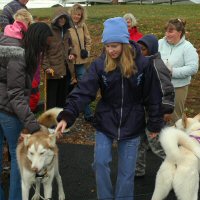 Students meet the sled dog team.