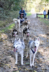 Eric and the team of sled dogs on the Northern Central Rail Trail