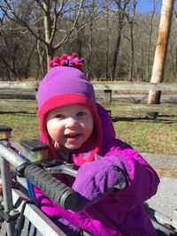 Emmaline is our newest mini-musher.