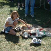 Dogs get belly rubs at Piney Run Apple Fest.