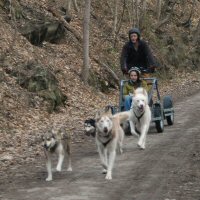 Serum arrives in Nome