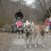 Zoe and Sobo pose in front of the rest of the team