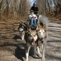 Zoe and Sobo ready to head back on the trail