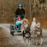 Dog sledding up the trail with our Junior Girl Scout passenger