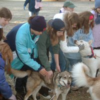 Girl scouts meet the dogs