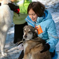 Zoe relaxes with a girl scout prior to dryland dog sledding.