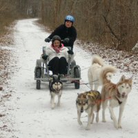 Girl scouts mushing in northern Baltimore county.