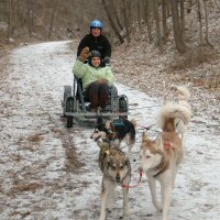 Girl scout after completing her dog sled trip.