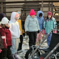 Girl scouts learned about the types of dog breeds used for dog sledding.