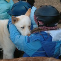 Okemo meets the girl scouts