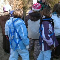 Dog sledding harnesses