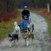 The highlight of the day was the dryland dog sledding ride