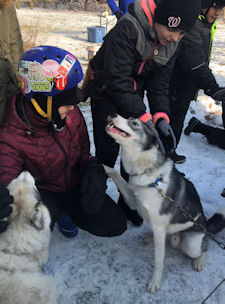 Girl scouts meet Acadia and Casco