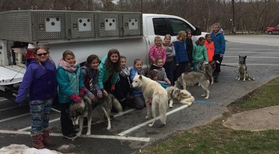 Girl Scouts learned about dryland dog sledding as part of their encampment