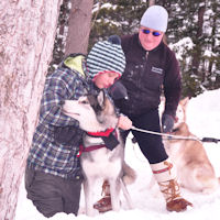 Learning to harness Beaver into a dog sledding harnes