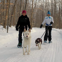 Snowshoeing with the dogs