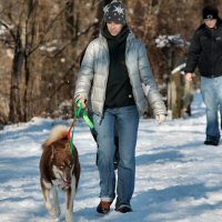 Run What You Brung is a train the trainer program for potential sled dogs.