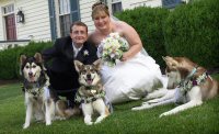 Our snow dogs were stars in our wedding.