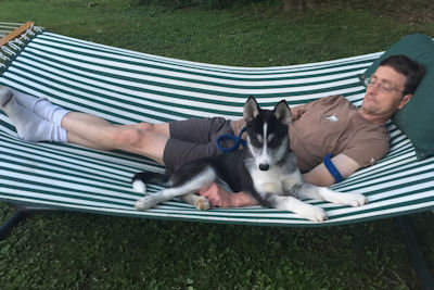 Zoom relaxes on the hammock