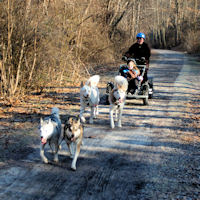 Dog sled ride through northern Baltimore County